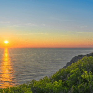 Taller de navegación Conquista tus miedos - 16 de octubre